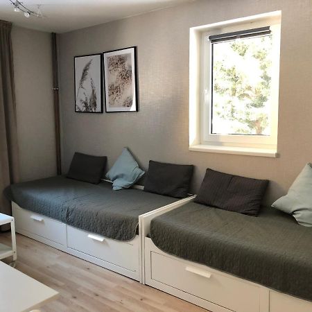 Apartman V Zeleni Dolni Morava Exterior photo