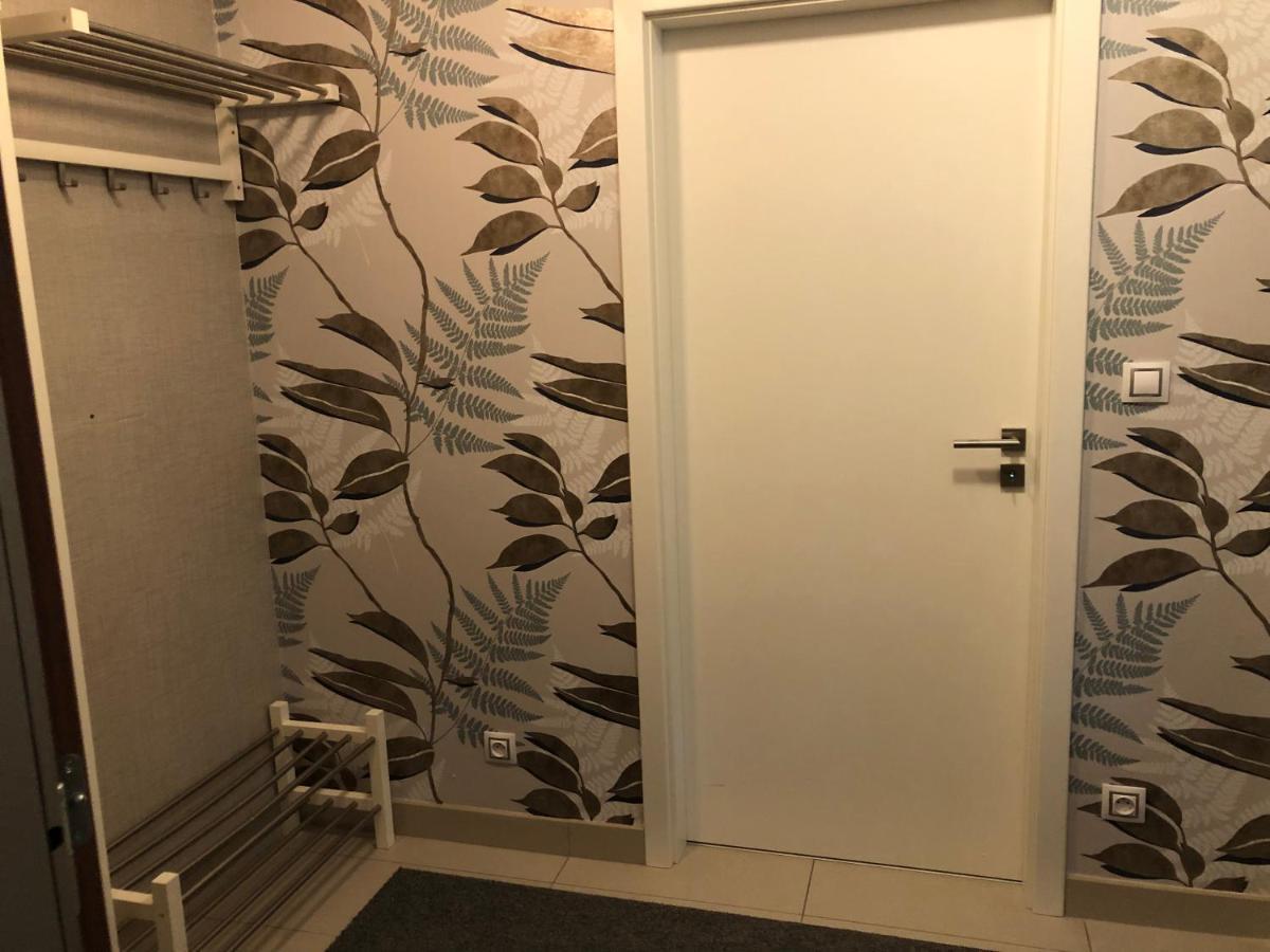 Apartman V Zeleni Dolni Morava Exterior photo